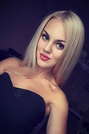 Роза, 84993501626